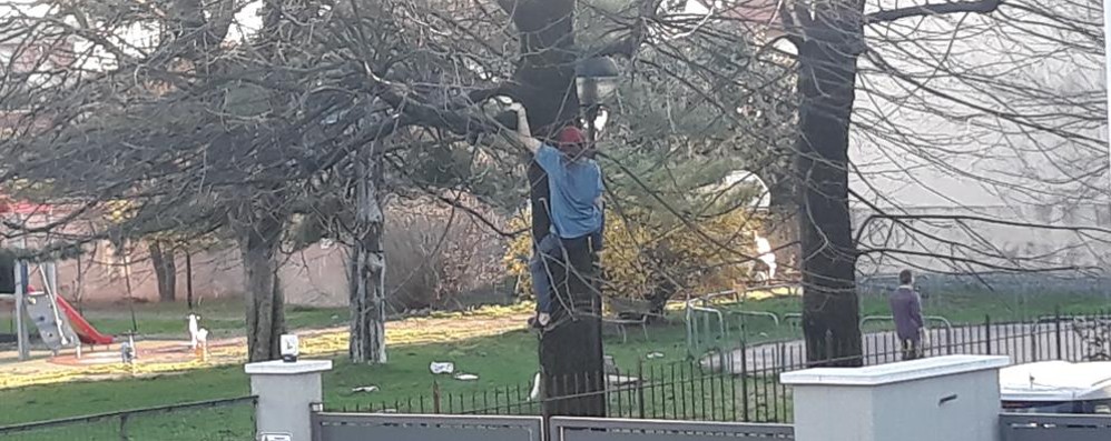 Bovisio Masciago: ragazzi nel parco