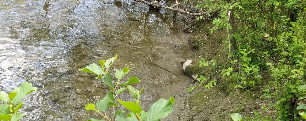 La bomba sulle rive del Lambro