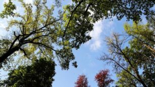 Il 22 aprile è la giornata della Terra numero 50: il Parco di Monza