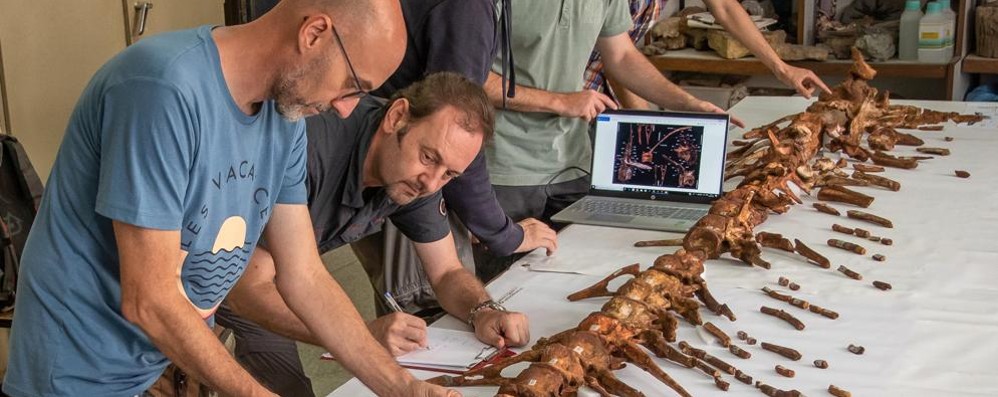 Al lavoro all’Università di Casablanca: nel team quattro paleontologi italiani - da sinistra Marco Auditore, Cristiano Dal Sasso, Gabriele Bindellini, Simone Maganuco - e il marocchino Ajoub Amane - Foto: Gabriele Bindellini