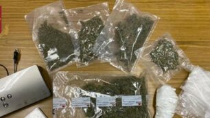 La marijuana sequestrata e il materiale per confezionarla