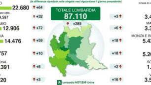 La diffusione dell’epidemia di Covid divisa per Province