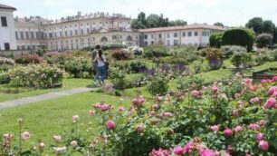 Monza Roseto della villa reale