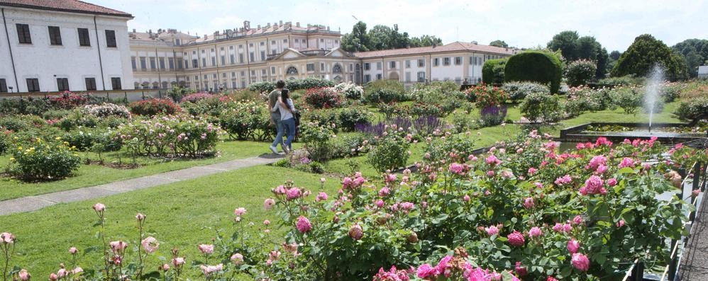 Monza Roseto della villa reale