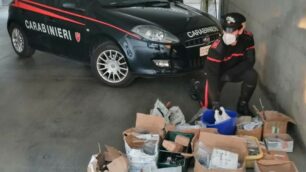 Carabinieri Seregno furto metalli Ronco Briantino