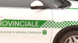 Polizia provinciale