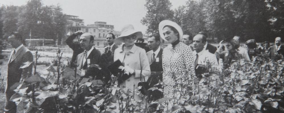 Monza: la principessa Grace di Monaco al roseto della Villa reale nel 1970