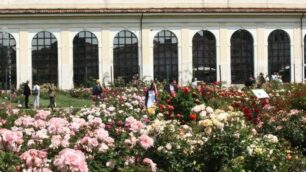 MONZA ROSETO VILLA REALE - foto di repertorio