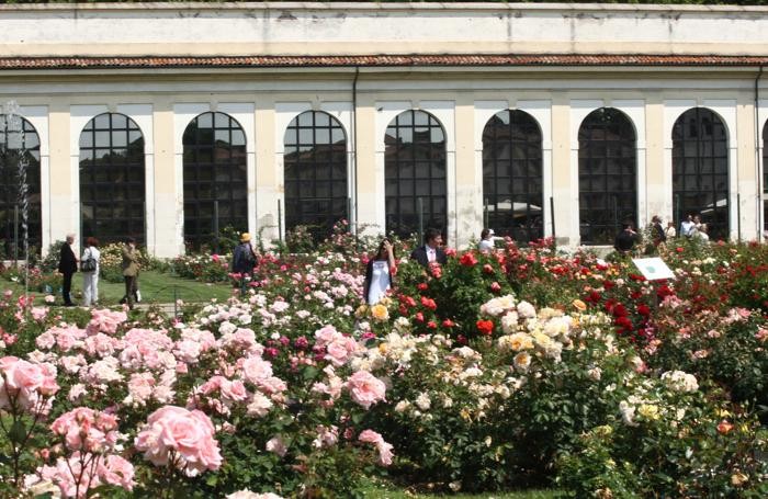 MONZA ROSETO VILLA REALE - foto di repertorio