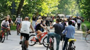 Le foto del parco di Monza domenica 31 maggio 2020
