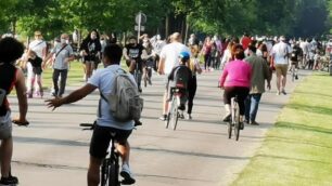 Parco di Monza: viale Mirabello domenica pomeriggio