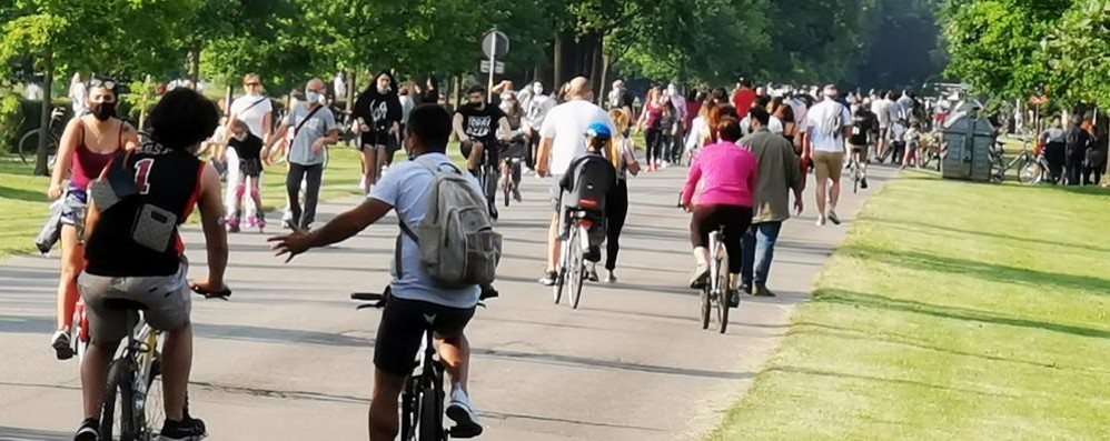 Parco di Monza: viale Mirabello domenica pomeriggio