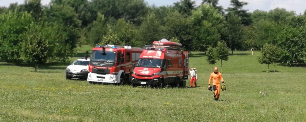 Brugherio intervento Increa per soccorso animale