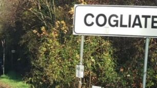 Cogliate