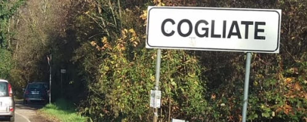 Cogliate