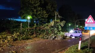 Maltempo 2 luglio, piante cadute e allagamenti in Brianza