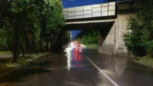 Meteo Seregno pianta caduta via Lazzaretto e allagamento via Stadio
