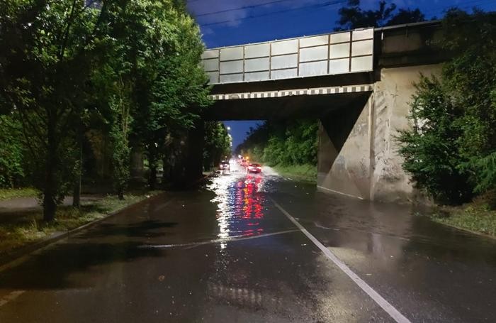 Meteo Seregno pianta caduta via Lazzaretto e allagamento via Stadio