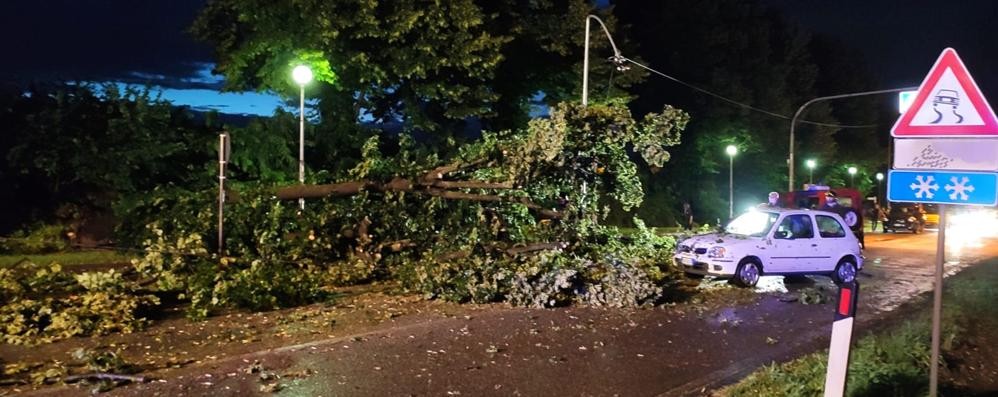 Meteo Lesmo 2 luglio 2020: pianta caduta su provinciale, auto in transito, VVf per tagliare pianta, cavo elettricità lampioni tranciato