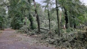 Un viale del Parco completamente devastato dal vento