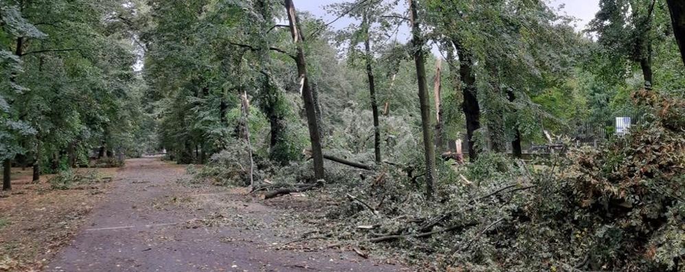 Un viale del Parco completamente devastato dal vento