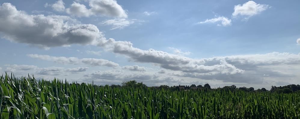 Meteo stabile per i prossimi tre giorni