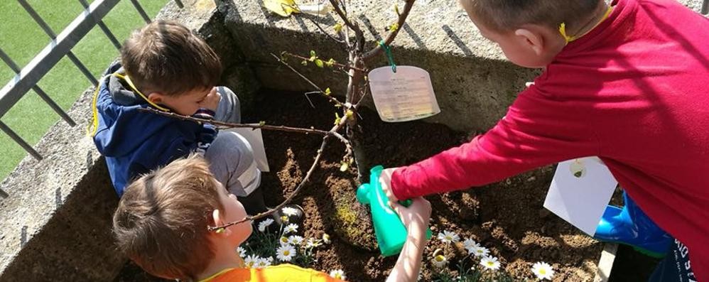 Via libera all’apertura delle scuole dell’infanzia il 7 settembre