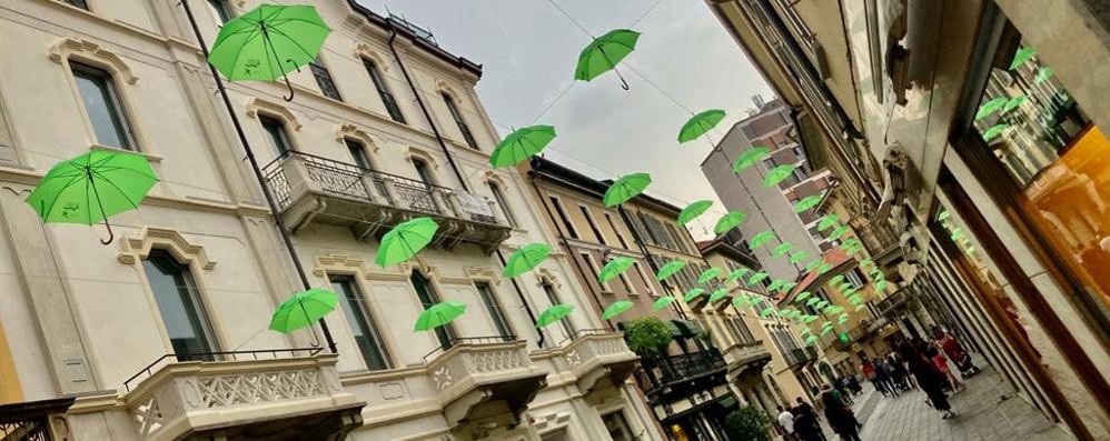 Monza ombrelli verdi in centro