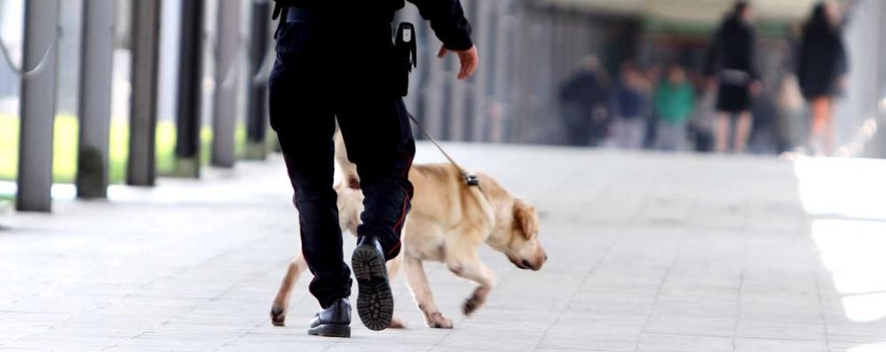 Controlli con unità cinofila cane antidroga - foto di repertorio