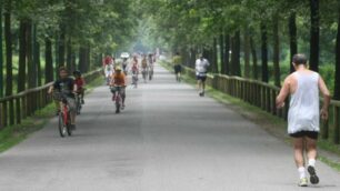 L’interno del Parco di Monza