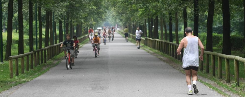 L’interno del Parco di Monza