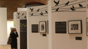 FOTO: a Monza Alfred Hitchcock nei film della Universal Pictures