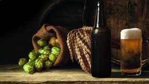 Luppolo e frumento come ingredienti della birra nel libro di Pietro Fontana