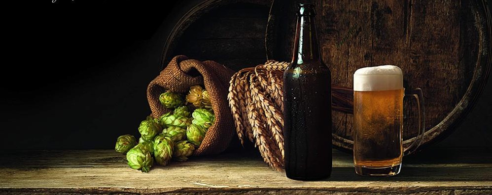 Luppolo e frumento come ingredienti della birra nel libro di Pietro Fontana