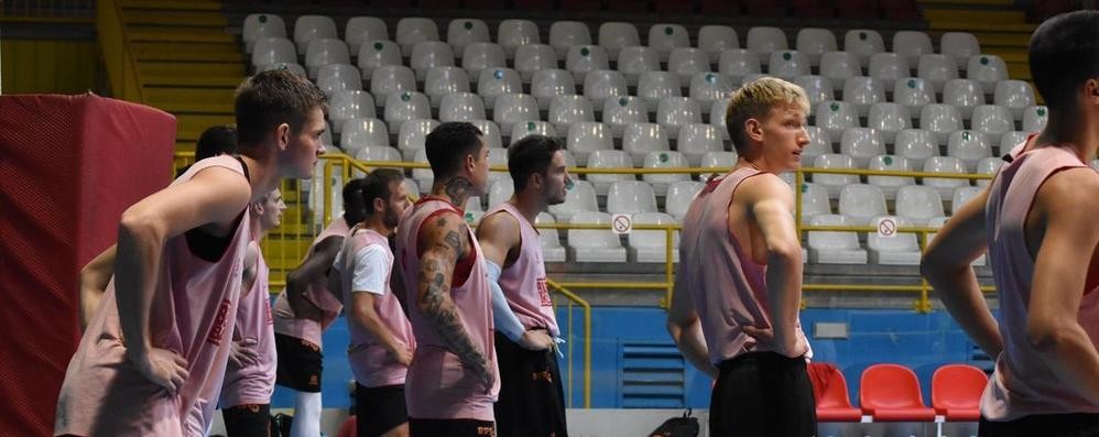 Un allenamento dei Reds di Bernareggio in preparazione alla Toyota Cup pallacanestro