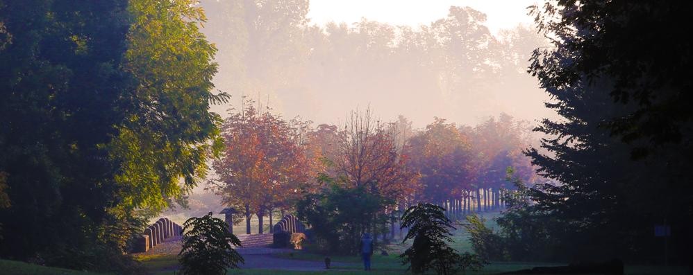 Monza, il Parco