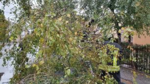 Maltempo e vento forte a Monza e Brianza