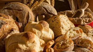 Brugherio pane alimentare Santini