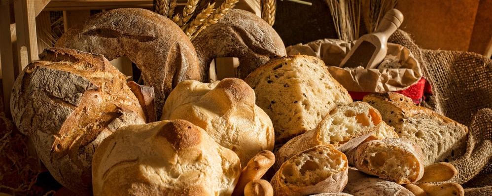 Brugherio pane alimentare Santini