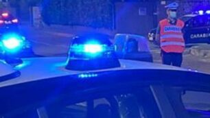 Sul posto sono intervenuti i carabinieri
