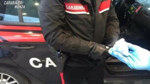 La coca sequestrata