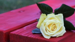Panchina rossa contro la violenza sulle donne