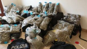 Polizia droga sequestrata provincia di Monza
