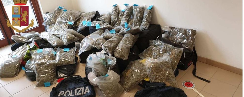 Polizia droga sequestrata provincia di Monza