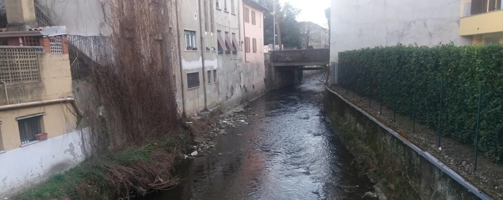 Il fiume Seveso che scorre in centro a Seveso