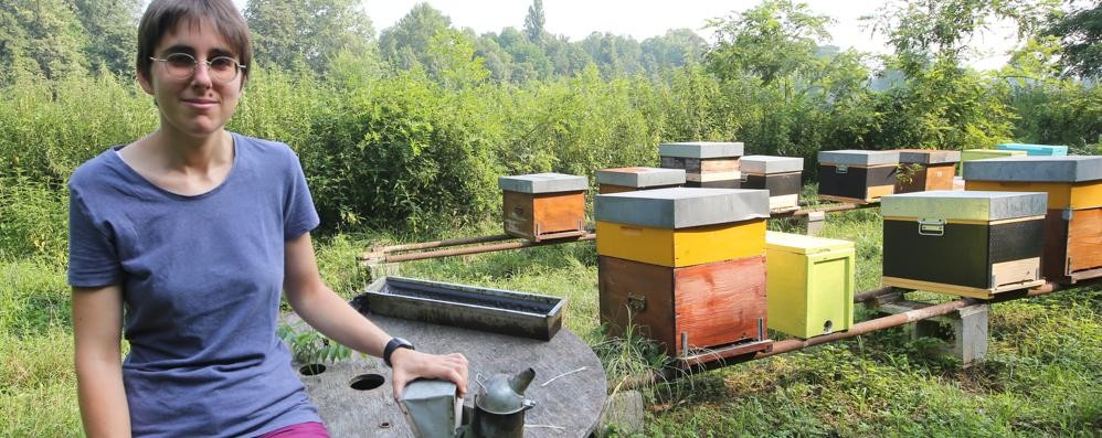 Cristina Palmieri con le api del Parco prima dell’epidemia