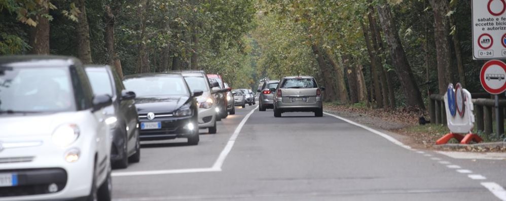 Viale Cavriga resterà parzialmente aperto al transito veicolare