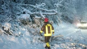 Interventi vigili del fuoco
