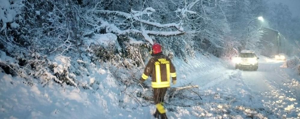 Interventi vigili del fuoco