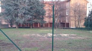 Usmate velate: al centro dell’area verde visibili i punti dove sono stati eliminati gli alberi